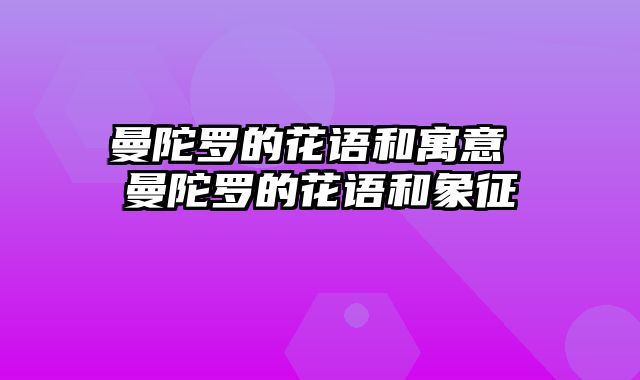 曼陀罗的花语和寓意 曼陀罗的花语和象征