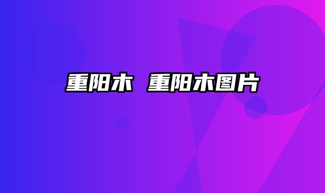 重阳木 重阳木图片