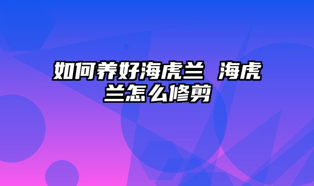 如何养好海虎兰 海虎兰怎么修剪