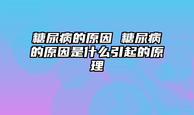 糖尿病的原因 糖尿病的原因是什么引起的原理