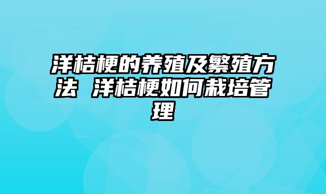 洋桔梗的养殖及繁殖方法 洋桔梗如何栽培管理