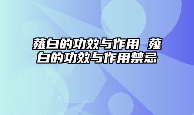 薤白的功效与作用 薤白的功效与作用禁忌