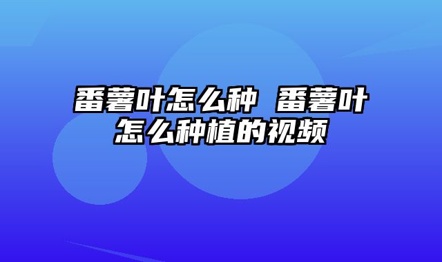 番薯叶怎么种 番薯叶怎么种植的视频