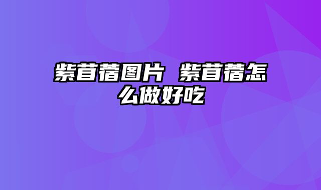 紫苜蓿图片 紫苜蓿怎么做好吃