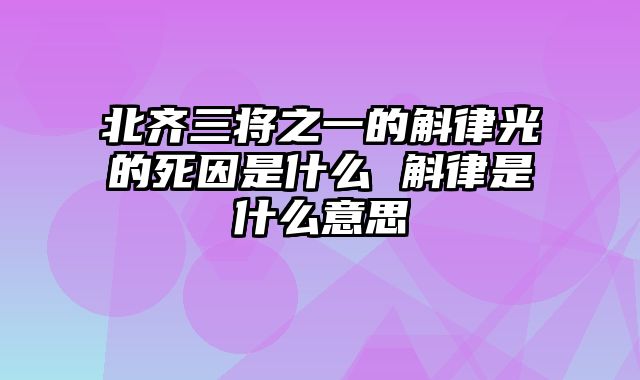 北齐三将之一的斛律光的死因是什么 斛律是什么意思