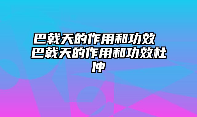 巴戟天的作用和功效 巴戟天的作用和功效杜仲