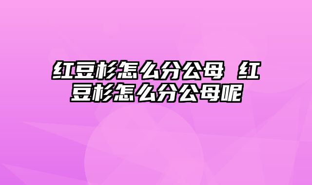 红豆杉怎么分公母 红豆杉怎么分公母呢