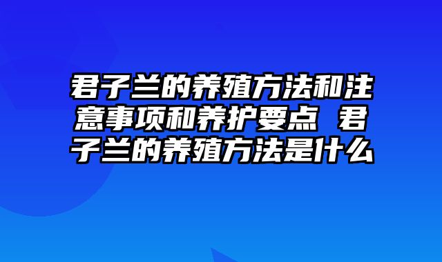 君子兰的养殖方法和注意事项和养护要点 君子兰的养殖方法是什么
