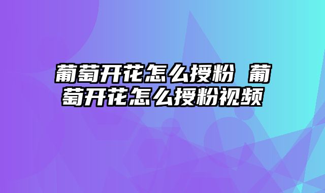 葡萄开花怎么授粉 葡萄开花怎么授粉视频