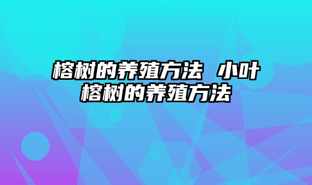 榕树的养殖方法 小叶榕树的养殖方法
