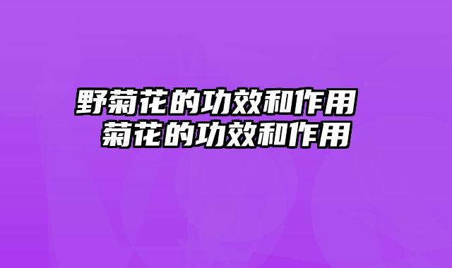 野菊花的功效和作用 菊花的功效和作用