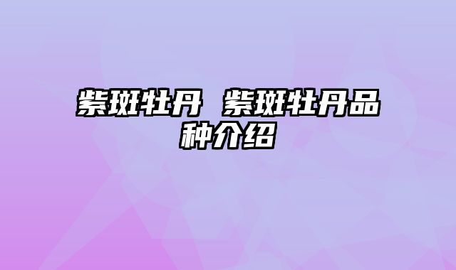 紫斑牡丹 紫斑牡丹品种介绍