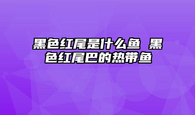黑色红尾是什么鱼 黑色红尾巴的热带鱼