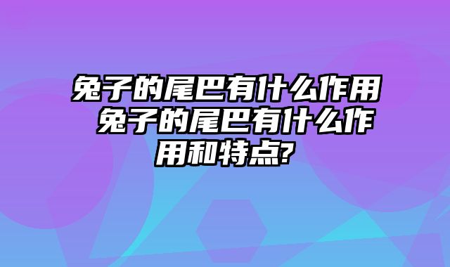 兔子的尾巴有什么作用 兔子的尾巴有什么作用和特点?