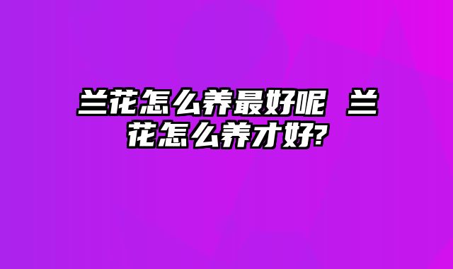 兰花怎么养最好呢 兰花怎么养才好?