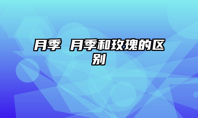 月季 月季和玫瑰的区别