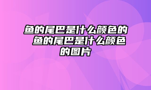 鱼的尾巴是什么颜色的 鱼的尾巴是什么颜色的图片