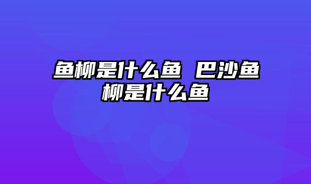 鱼柳是什么鱼 巴沙鱼柳是什么鱼
