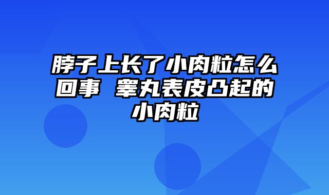 脖子上长了小肉粒怎么回事 睾丸表皮凸起的小肉粒