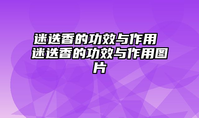 迷迭香的功效与作用 迷迭香的功效与作用图片