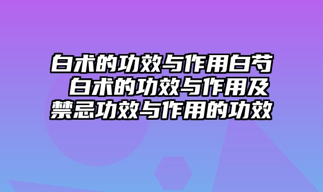 白术的功效与作用白芍 白术的功效与作用及禁忌功效与作用的功效