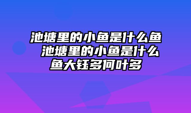 池塘里的小鱼是什么鱼 池塘里的小鱼是什么鱼大钰多何叶多