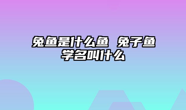 兔鱼是什么鱼 兔子鱼学名叫什么