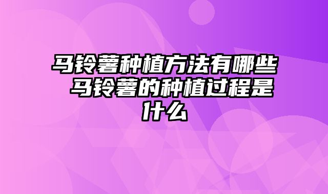 马铃薯种植方法有哪些 马铃薯的种植过程是什么