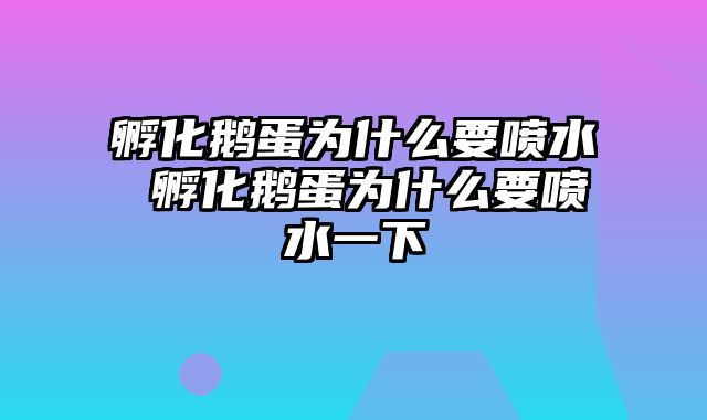 孵化鹅蛋为什么要喷水 孵化鹅蛋为什么要喷水一下