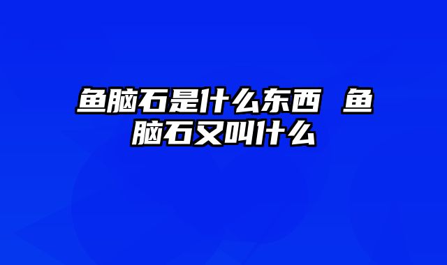 鱼脑石是什么东西 鱼脑石又叫什么