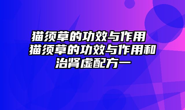猫须草的功效与作用 猫须草的功效与作用和治肾虚配方一