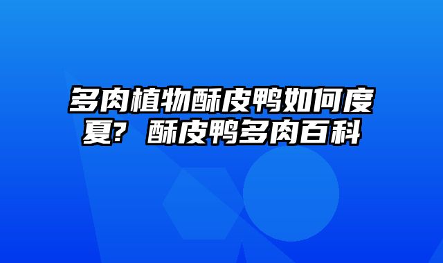 多肉植物酥皮鸭如何度夏? 酥皮鸭多肉百科