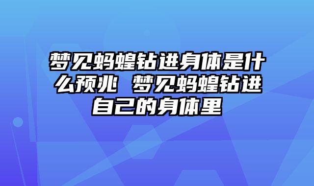梦见蚂蝗钻进身体是什么预兆 梦见蚂蝗钻进自己的身体里