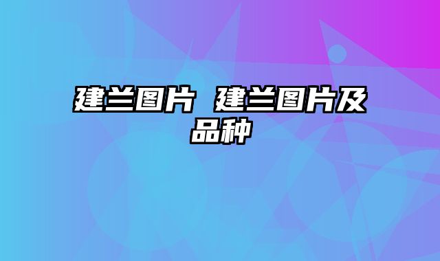 建兰图片 建兰图片及品种