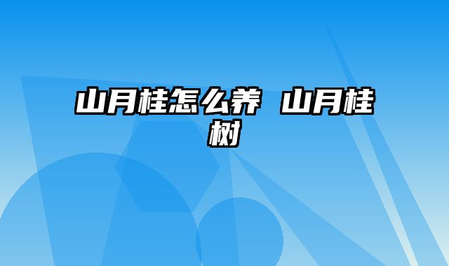 山月桂怎么养 山月桂树