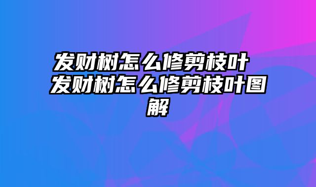 发财树怎么修剪枝叶 发财树怎么修剪枝叶图解