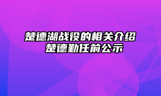 楚德湖战役的相关介绍 楚德勤任前公示