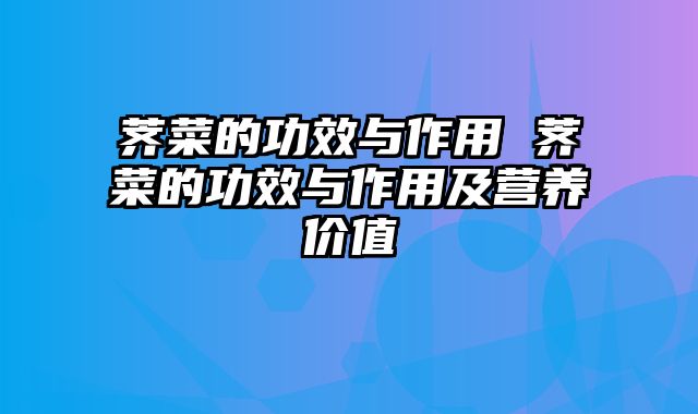 荠菜的功效与作用 荠菜的功效与作用及营养价值