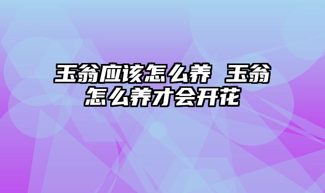 玉翁应该怎么养 玉翁怎么养才会开花