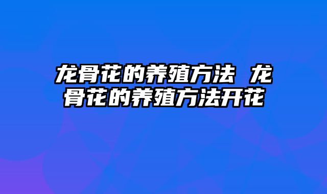 龙骨花的养殖方法 龙骨花的养殖方法开花