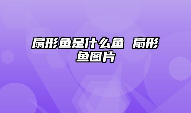 扇形鱼是什么鱼 扇形鱼图片