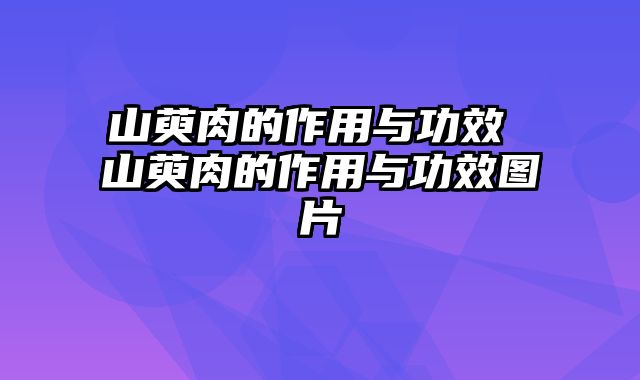 山萸肉的作用与功效 山萸肉的作用与功效图片