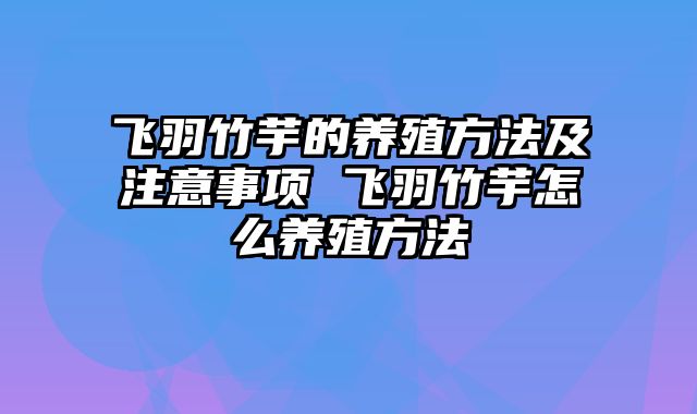 飞羽竹芋的养殖方法及注意事项 飞羽竹芋怎么养殖方法
