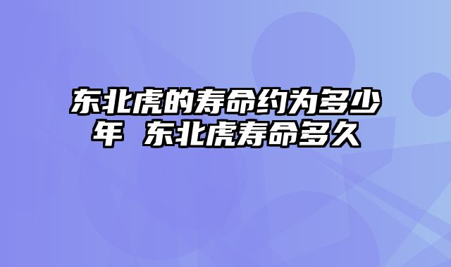 东北虎的寿命约为多少年 东北虎寿命多久