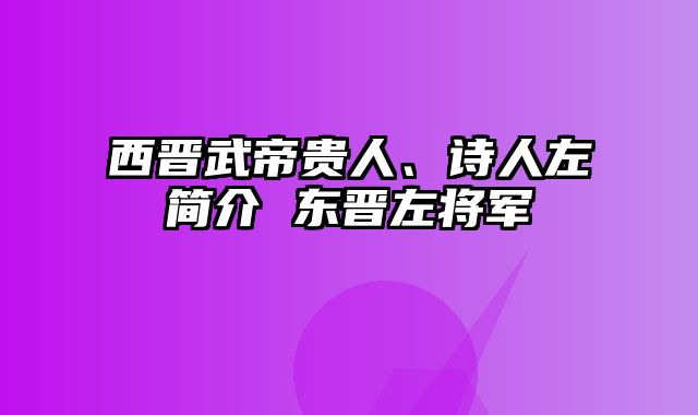西晋武帝贵人、诗人左简介 东晋左将军