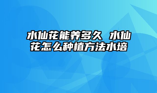 水仙花能养多久 水仙花怎么种植方法水培