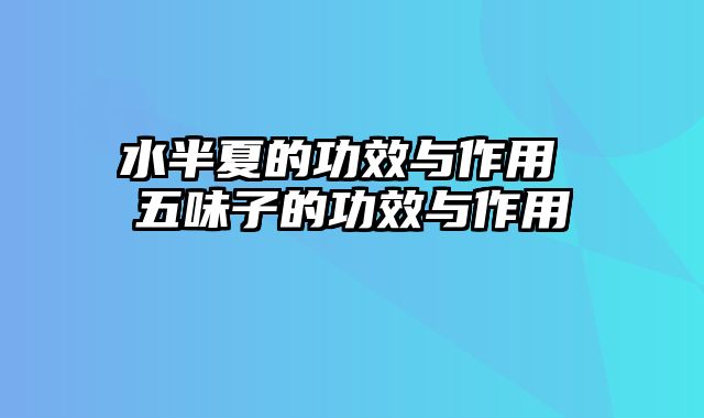水半夏的功效与作用 五味子的功效与作用