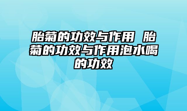 胎菊的功效与作用 胎菊的功效与作用泡水喝的功效
