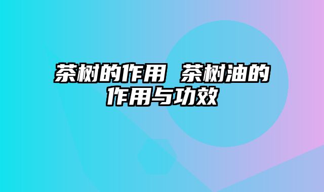 茶树的作用 茶树油的作用与功效