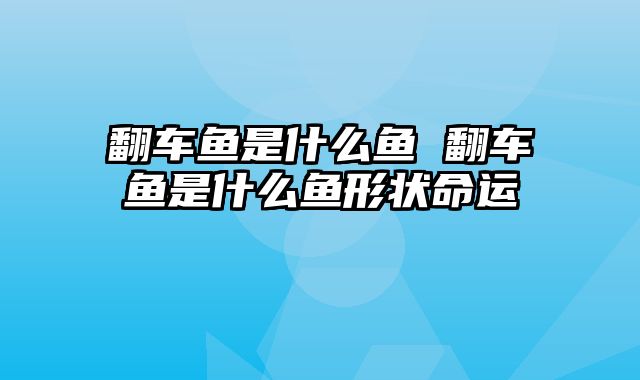 翻车鱼是什么鱼 翻车鱼是什么鱼形状命运